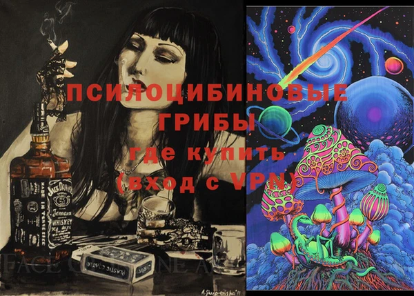 твердый Мегион
