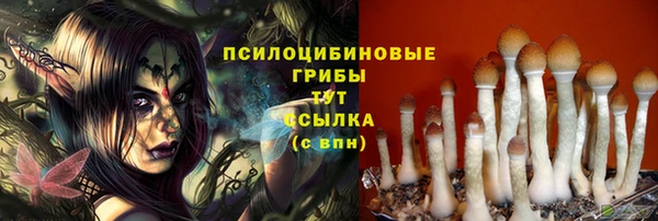 ALPHA PVP Алексин