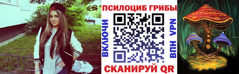 Псилоцибиновые грибы Psilocybine cubensis наркота Татарск